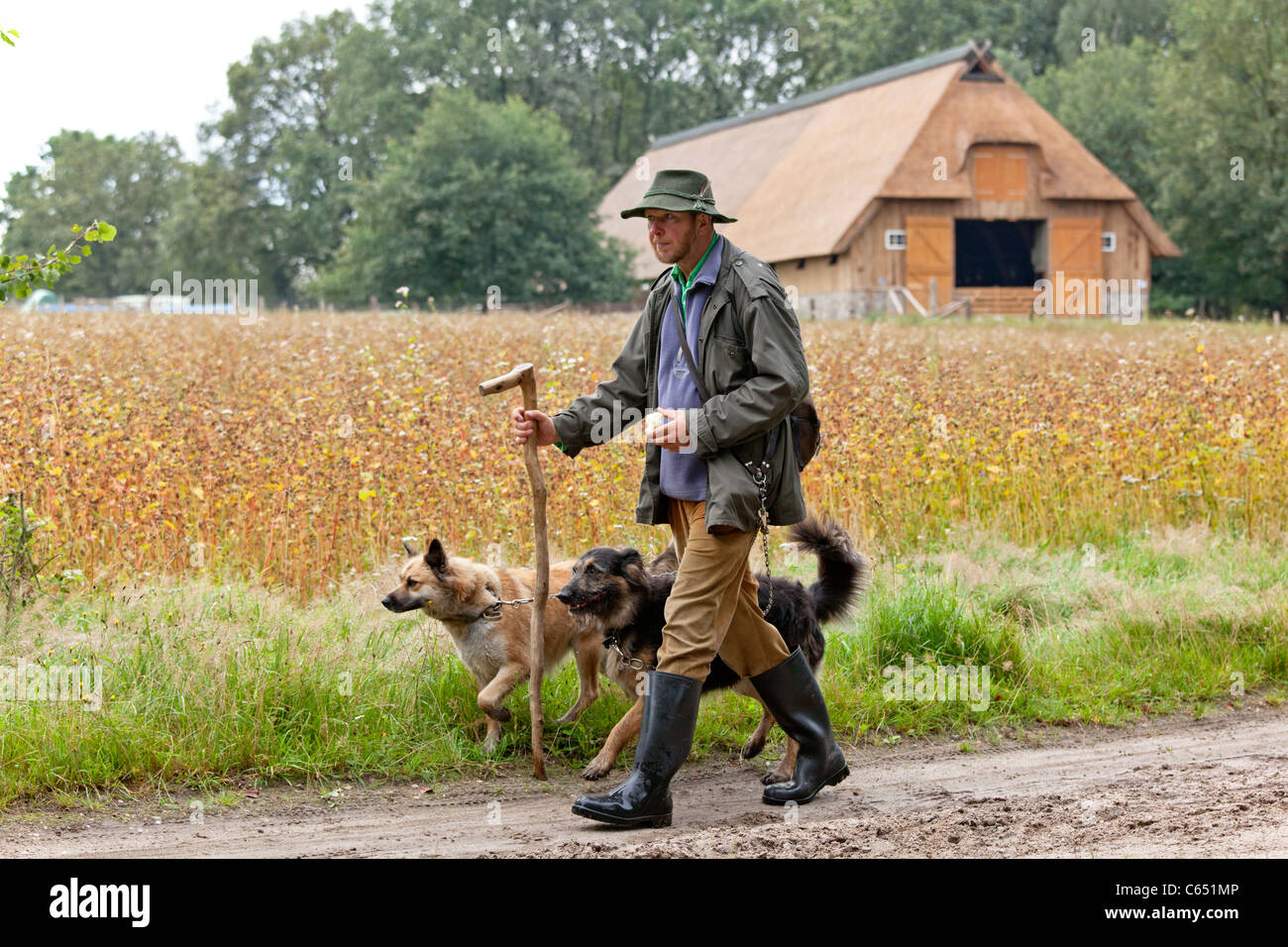 shepherd with his dogs in front of his sheep shelter, Luneburg Heath, Lower Saxony, Germany Stock Photo