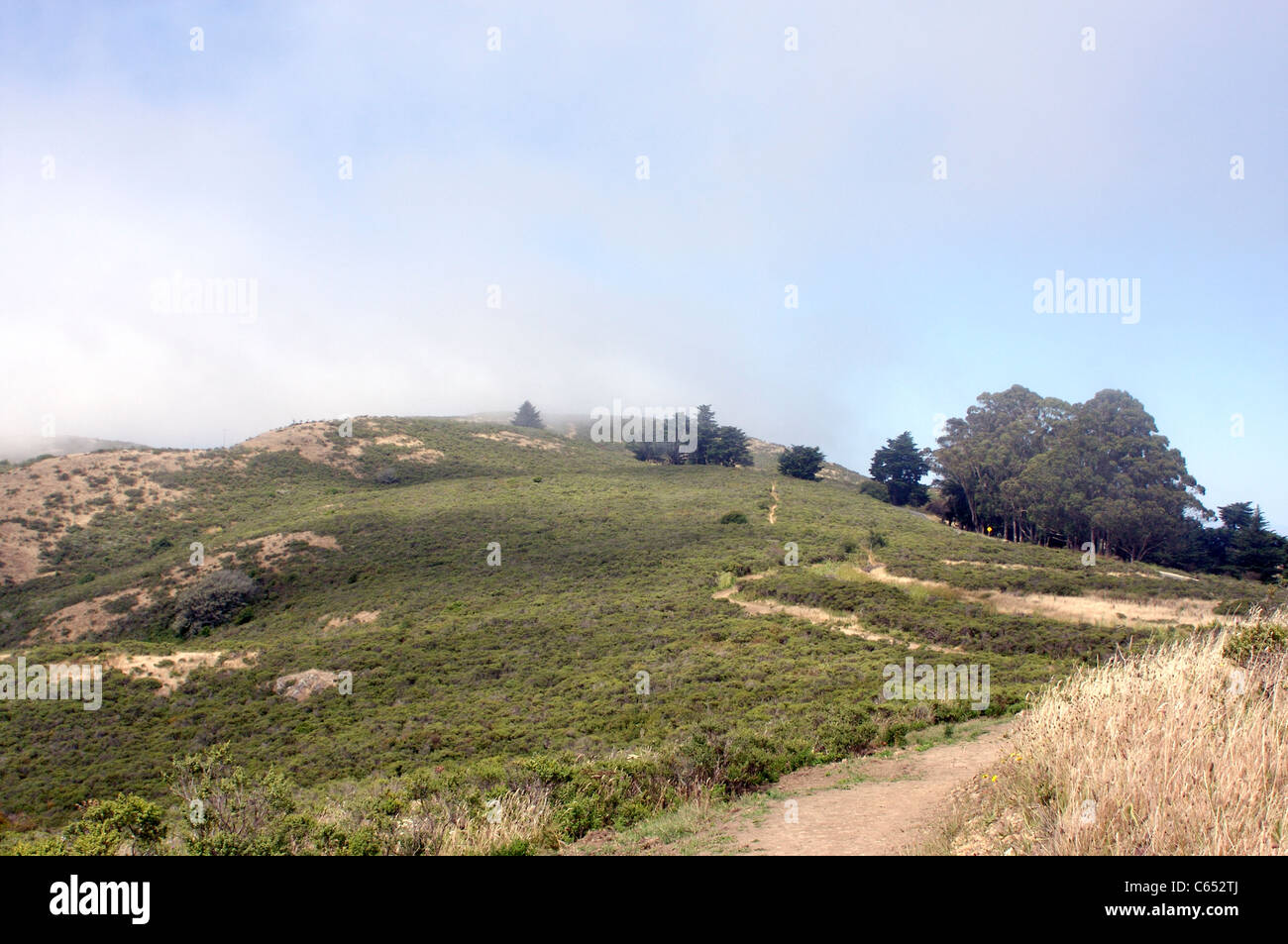 Fog and low clouds around the Muir Woods National Monument in Marin County, California Stock Photo