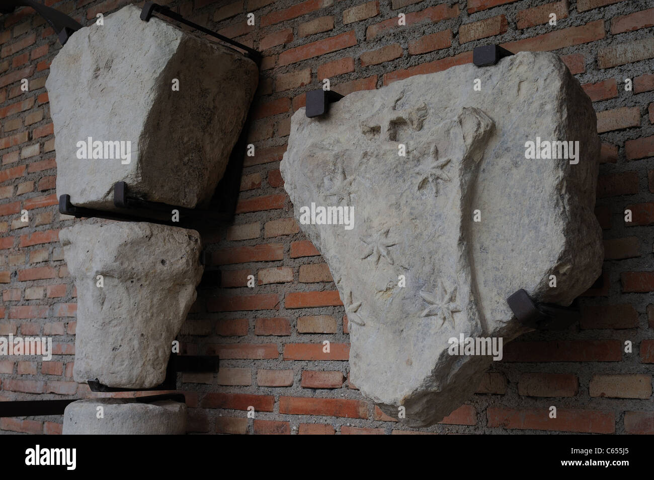 Fonseca Spandrels shield . Renaissance ( Plateresque ) belonging to the ANTIQUARIUM - Wall of ALCALA DE HENARES ( 13 th ).SPAIN Stock Photo