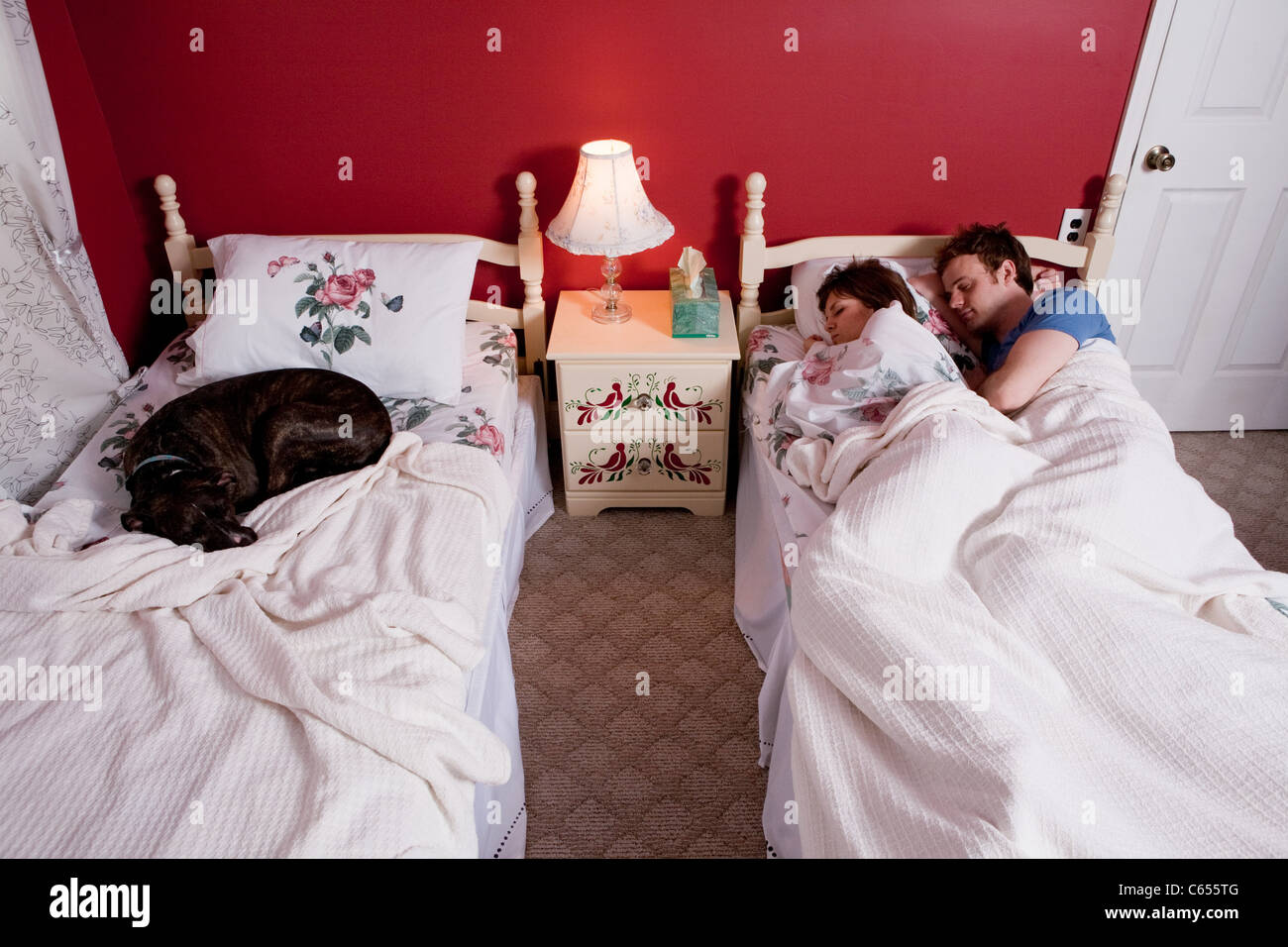 Young couple sharing single bed, dog asleep on other bed Stock Photo