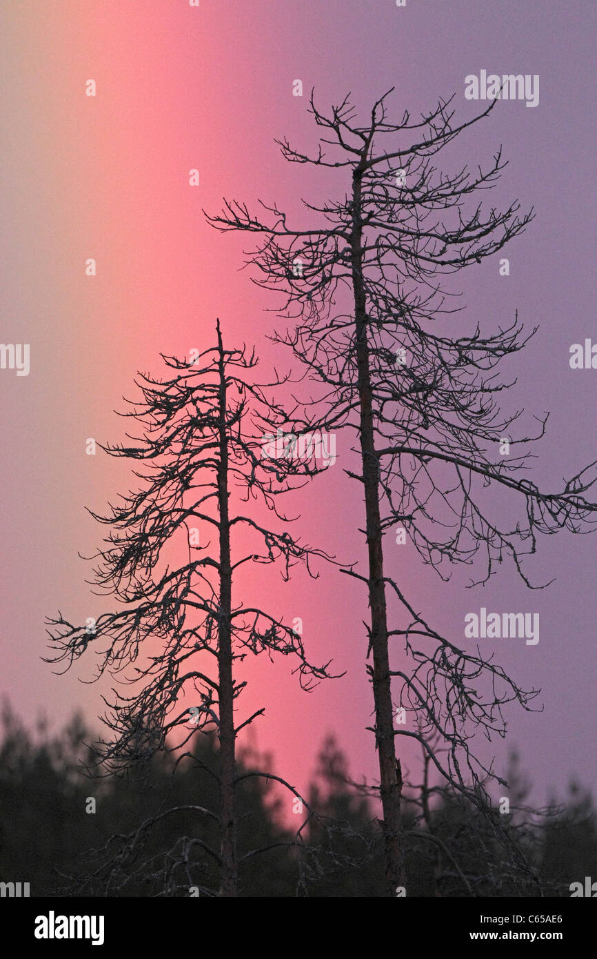 Rainbow at dusk in Finland Stock Photo