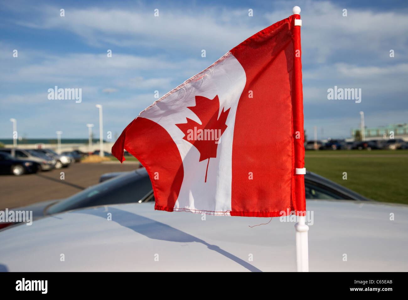 canadian maple leaf flag flying on car on canada day Saskatoon Saskatchewan Canada Stock Photo