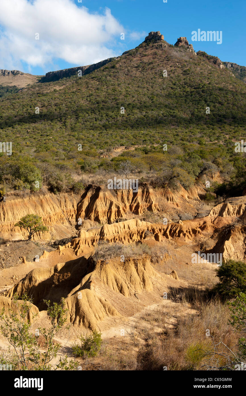 Soil erosion, Ithala Game Reserve, South Africa Stock Photo