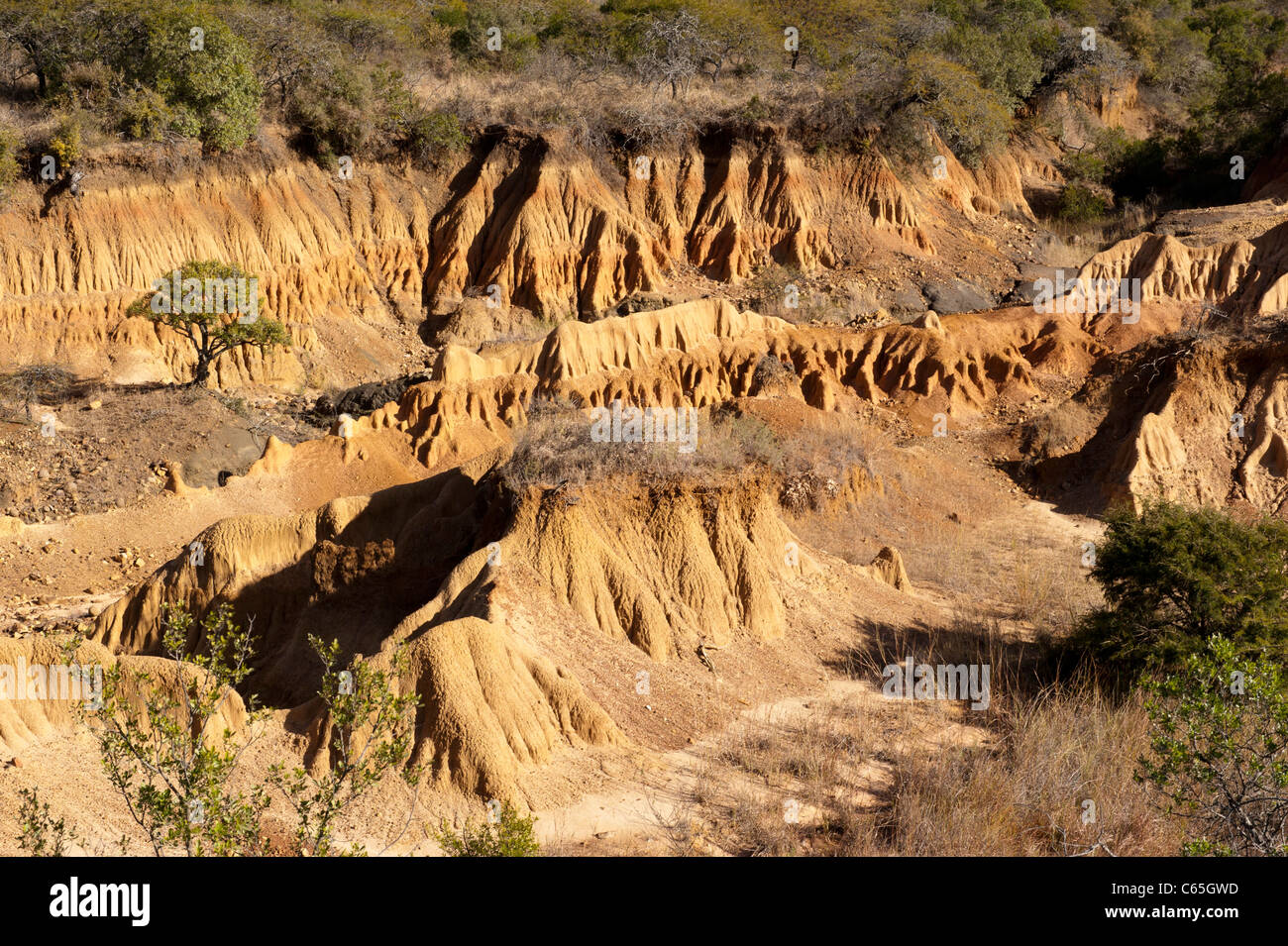 Soil erosion, Ithala Game Reserve, South Africa Stock Photo