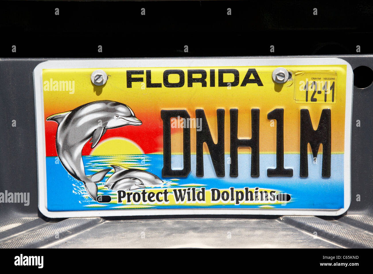 florida protect wild dolphins specialty vehicle license plate state usa Stock Photo
