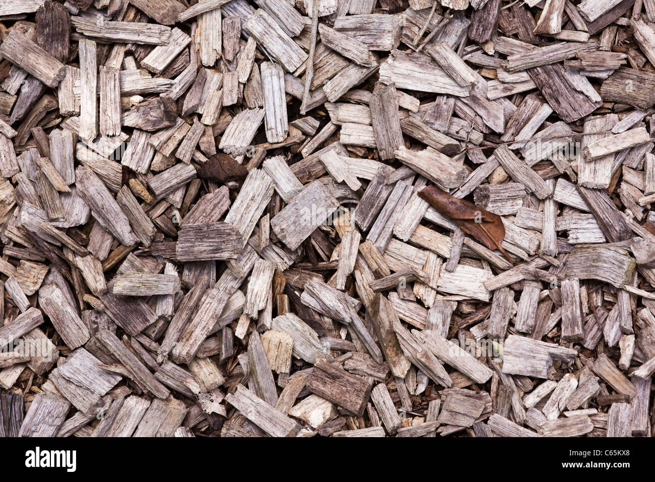 Bark mulch on a planted area Stock Photo