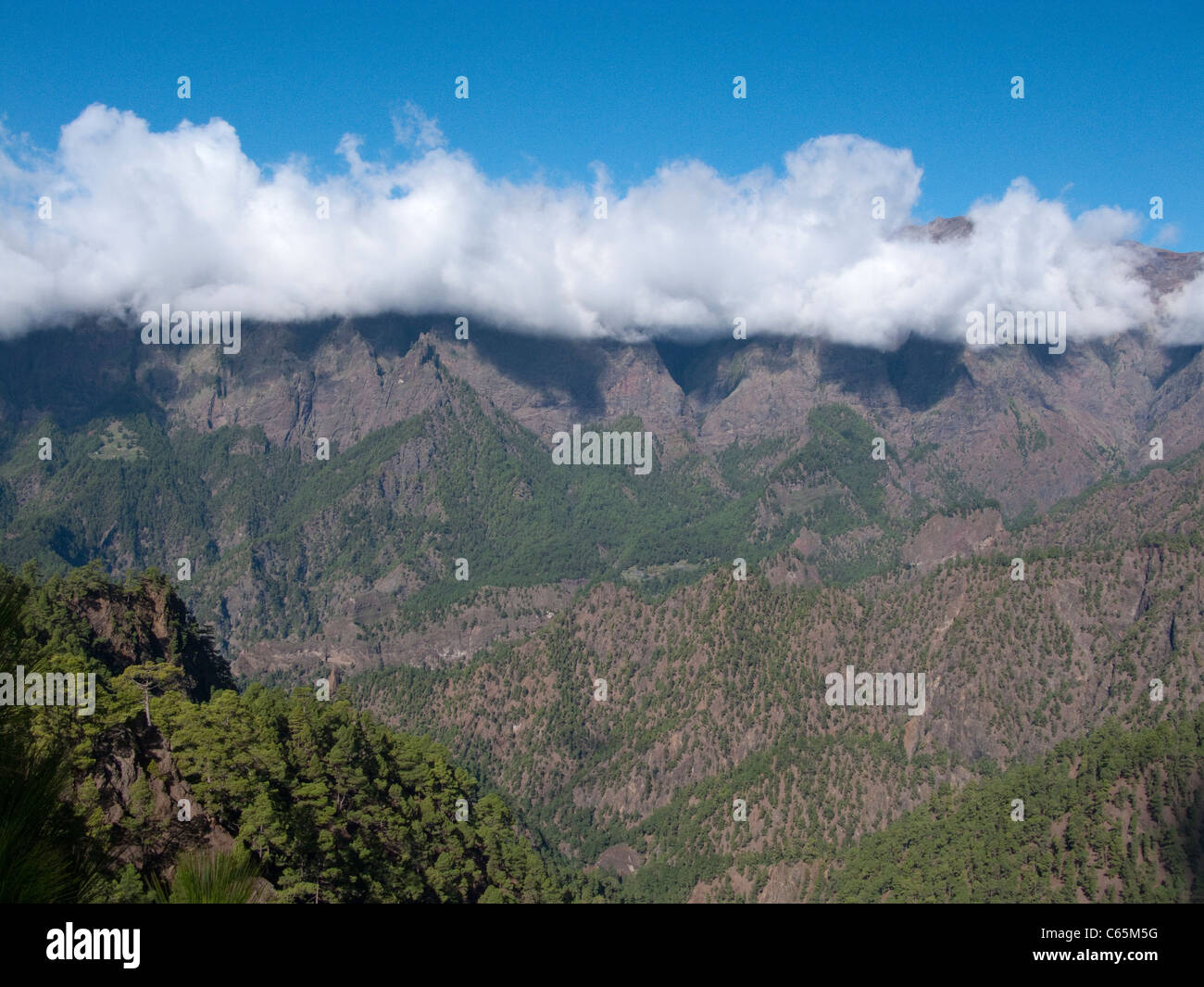 Nationalpark Caldera de Taburiente, National park Caldera de Taburiente Stock Photo