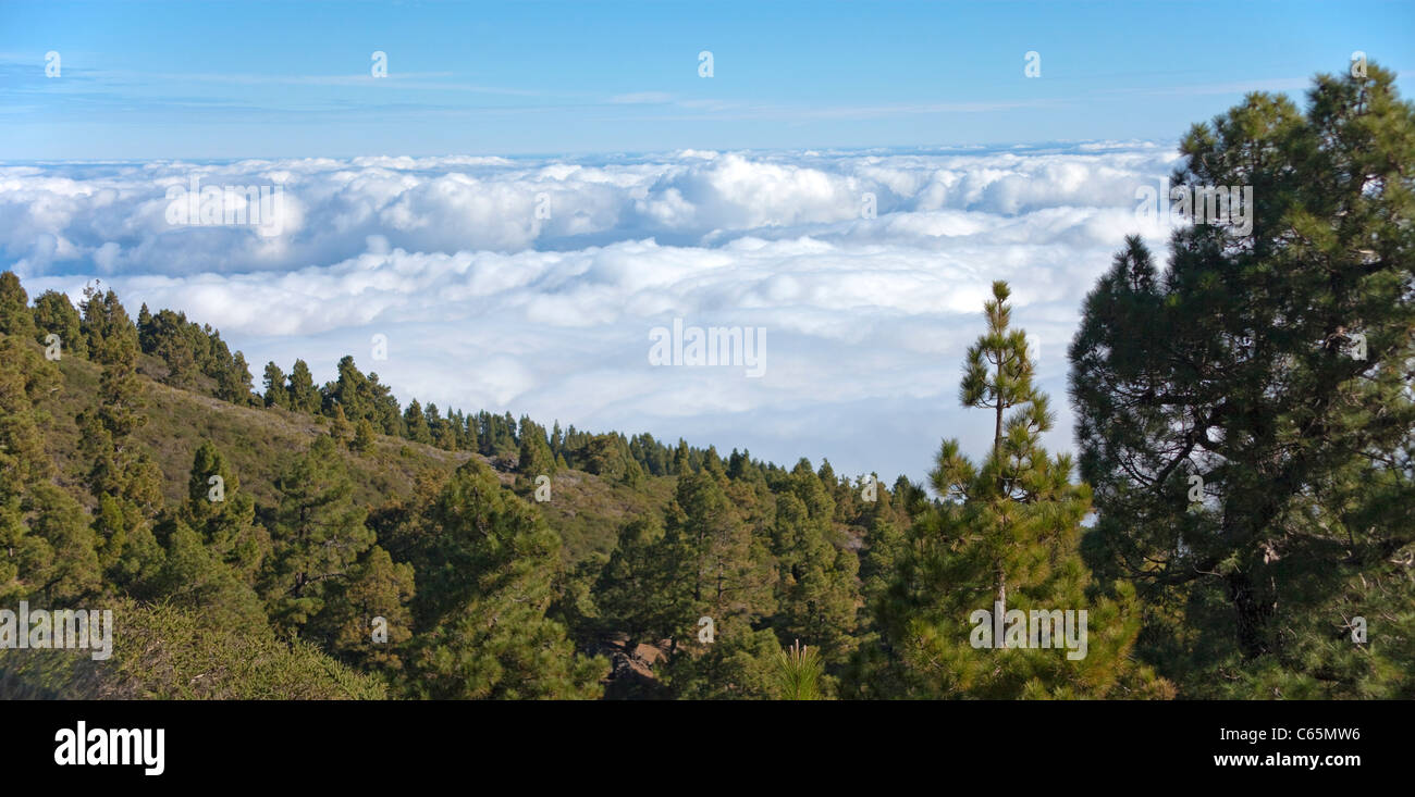 Blick vom Roque de los Muchachos ueber den Wolken, Parque Nacional de la Caldera de Taburiente, Caldera, view over the clouds Stock Photo