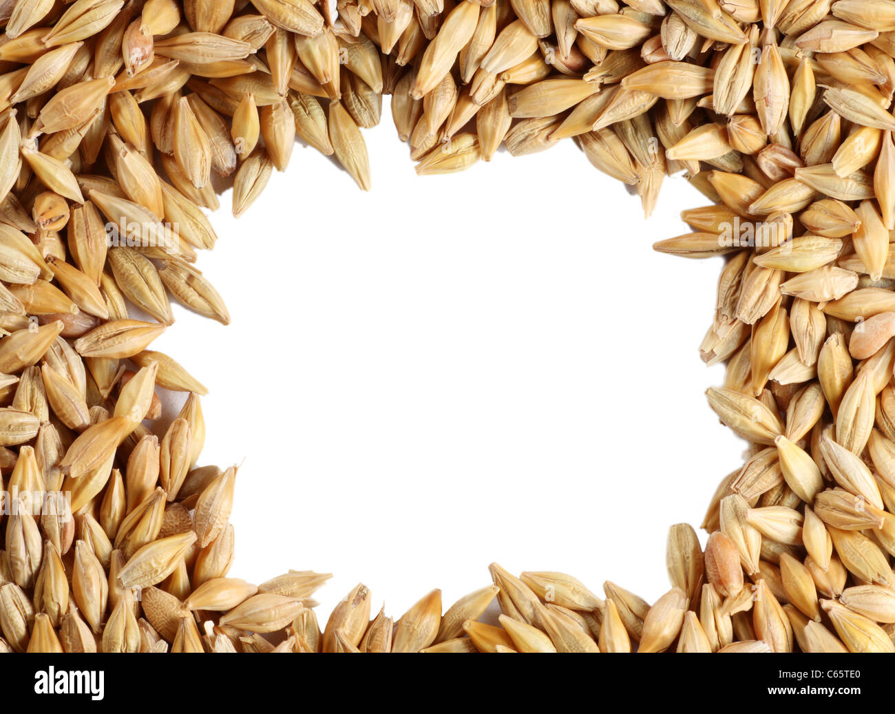Barleycorn seeds hires stock photography and images Alamy