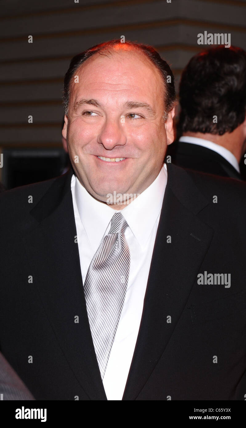 James Gandolfini in attendance for A Celebration of Courage Benefitting