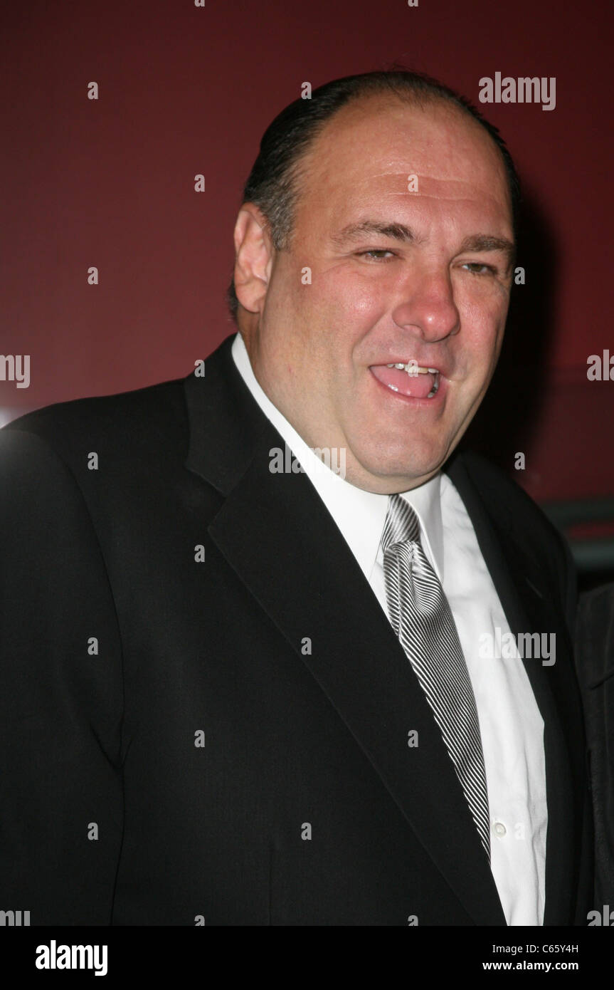James Gandolfini in attendance for A Celebration of Courage Benefitting