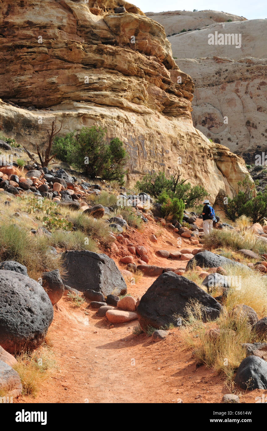 Hiker on the trail to Hickman Bridge in Capitol Reef National Park