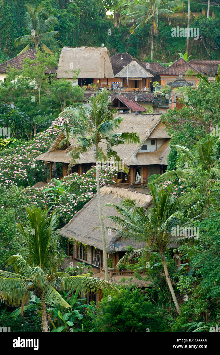 Traditional Balinese houses with thatched roofs in the forest, Bali Stock Photo
