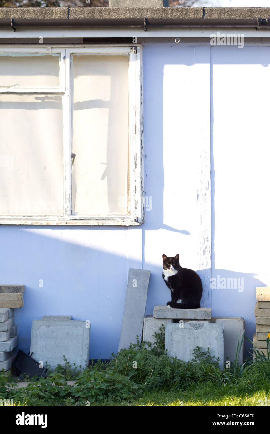 The Excalibur estate in south east London built by German and Italian ...
