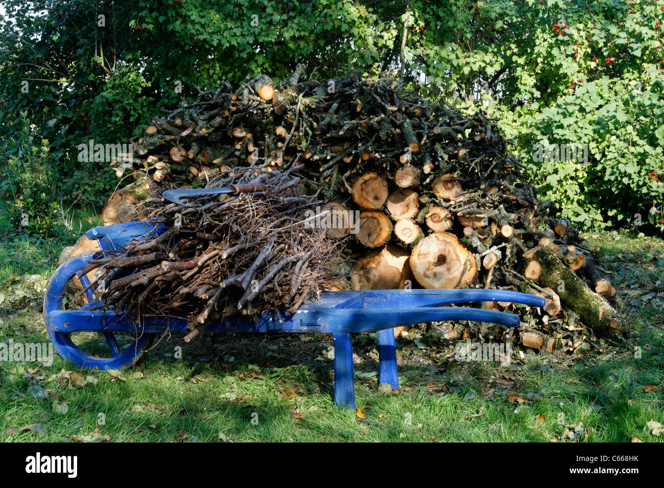 Bundles on a wheelbarrow and a pile of wood Stock Photo