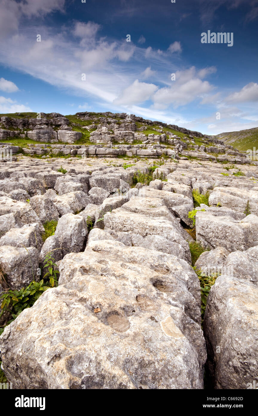 The limestone pavement above Malham Cove in the Yorkshire Dales