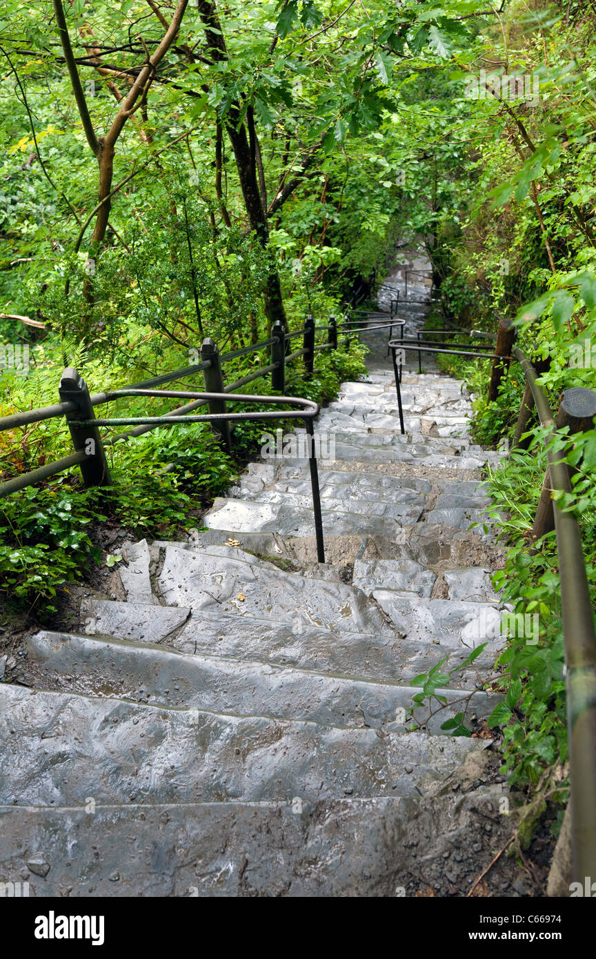 Steep pathway down wooded hillside with handrails and steps at Devils