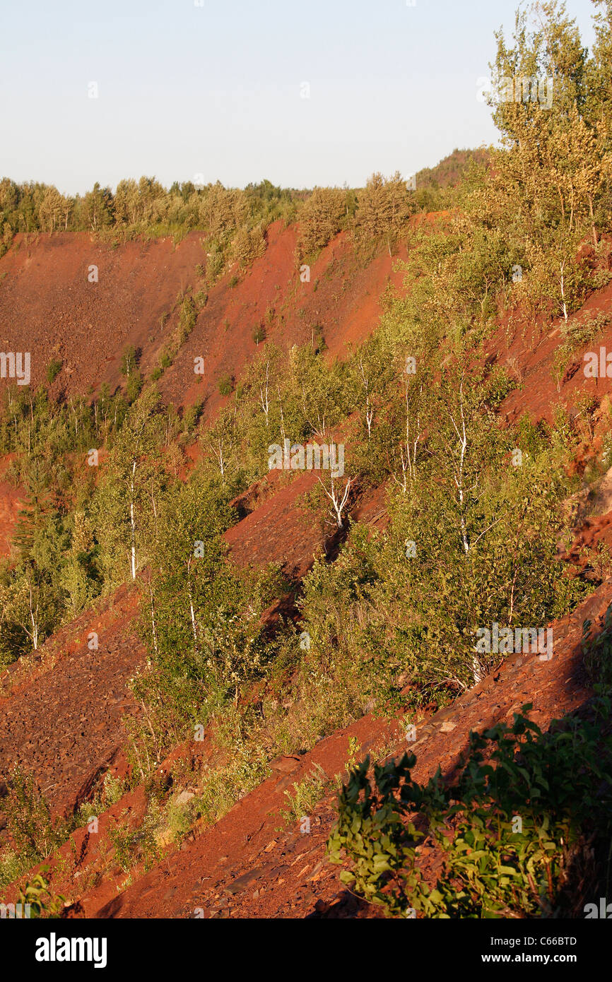 Hull–Rust–Mahoning Open Pit Iron Mine, older portion with birch trees growing on sides Stock Photo