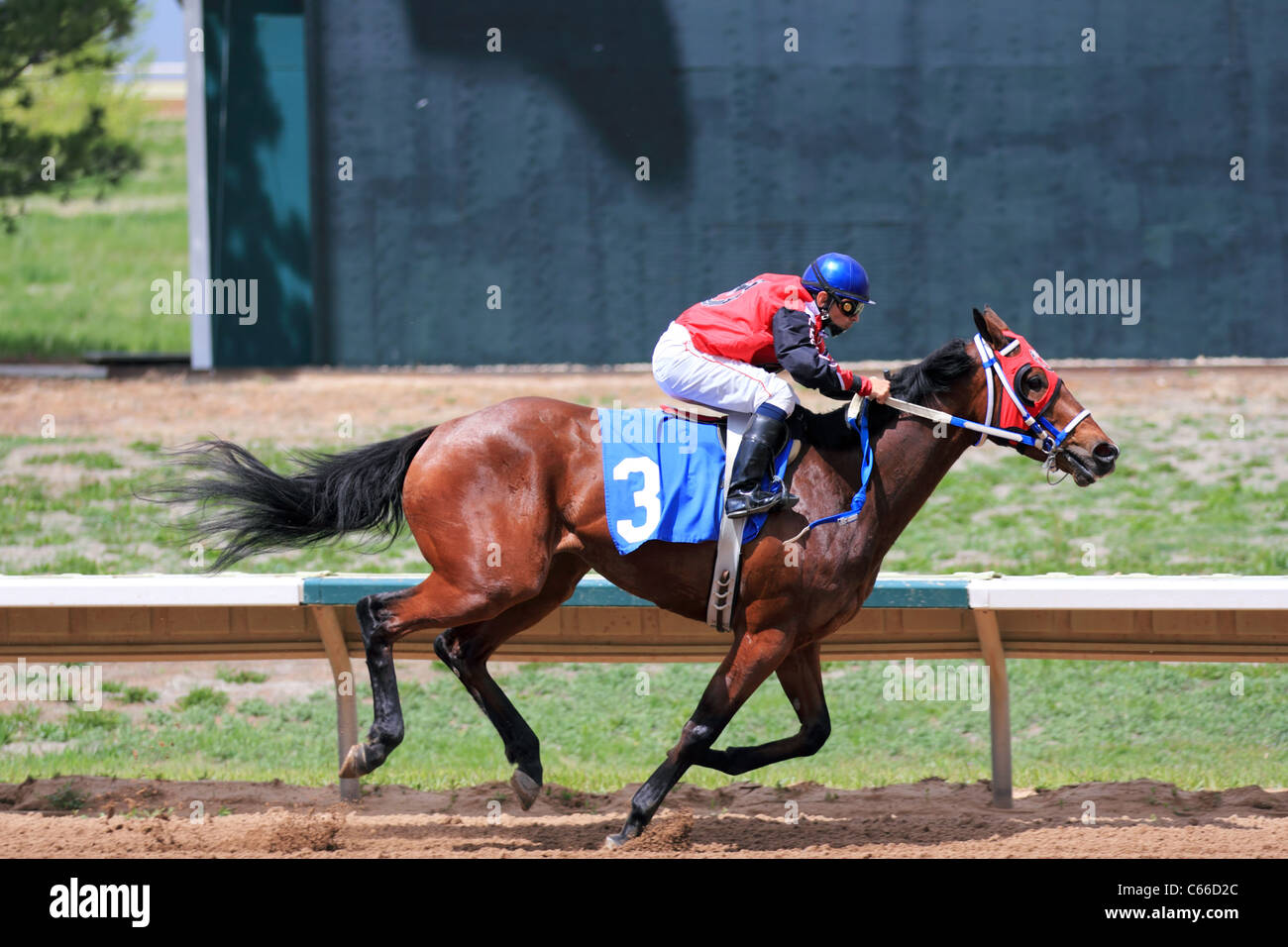 Arapahoe Park Horse Racing Schedule 2025 Lilly Phaidra