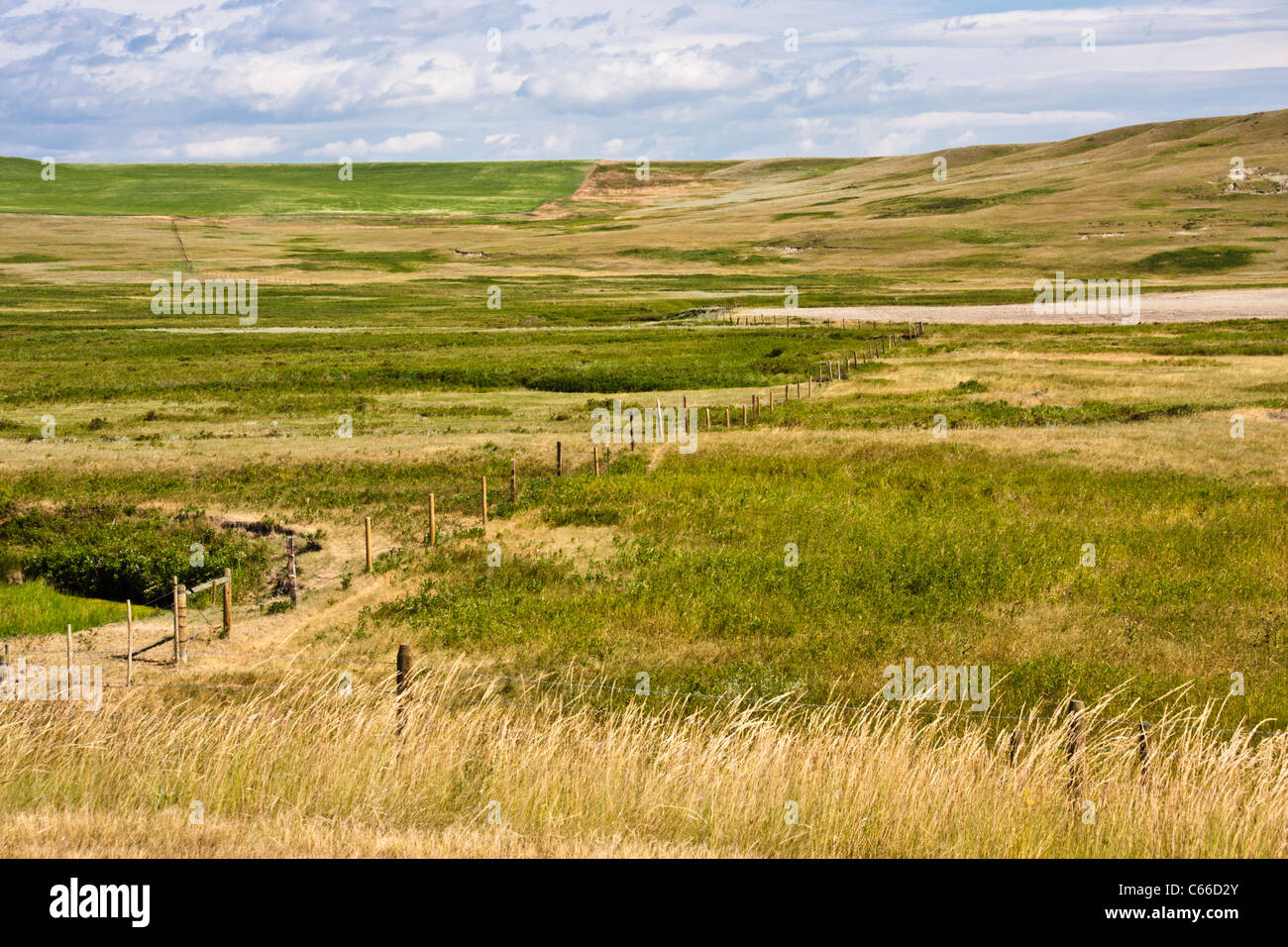 Large scale ranching hires stock photography and images Alamy