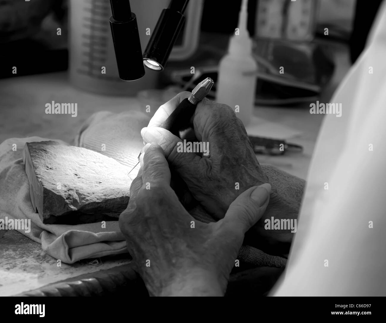 Close up of a woman volunteer's hands holding a stylus and patiently cleaning debris from a fossil. Stock Photo