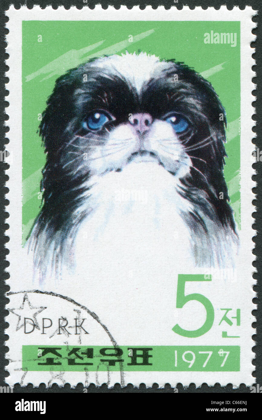 NORTH KOREA - 1977: A stamp printed in North Korea, shows a Pekingese dog breed Stock Photo