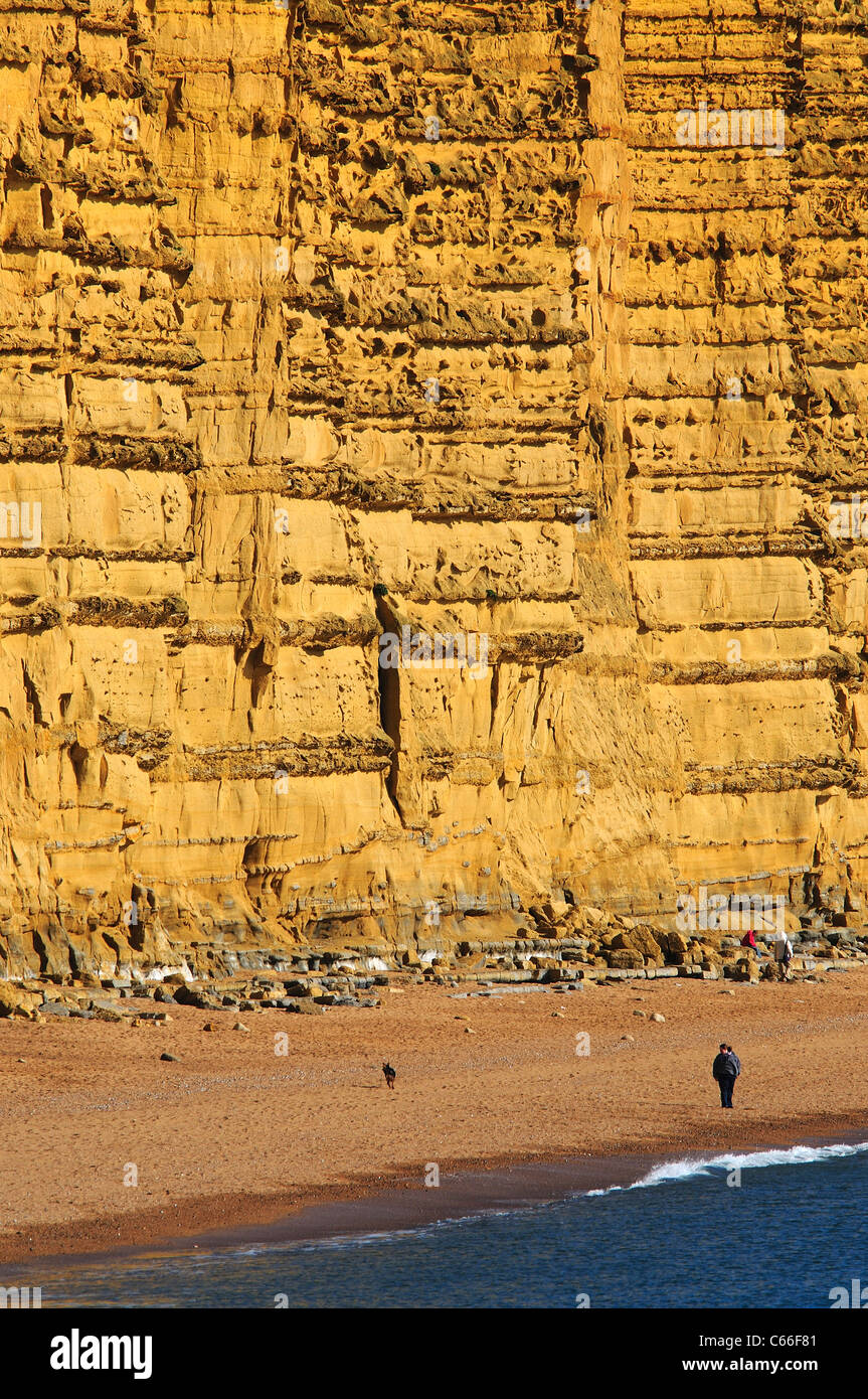 west bay dorset Stock Photo Alamy