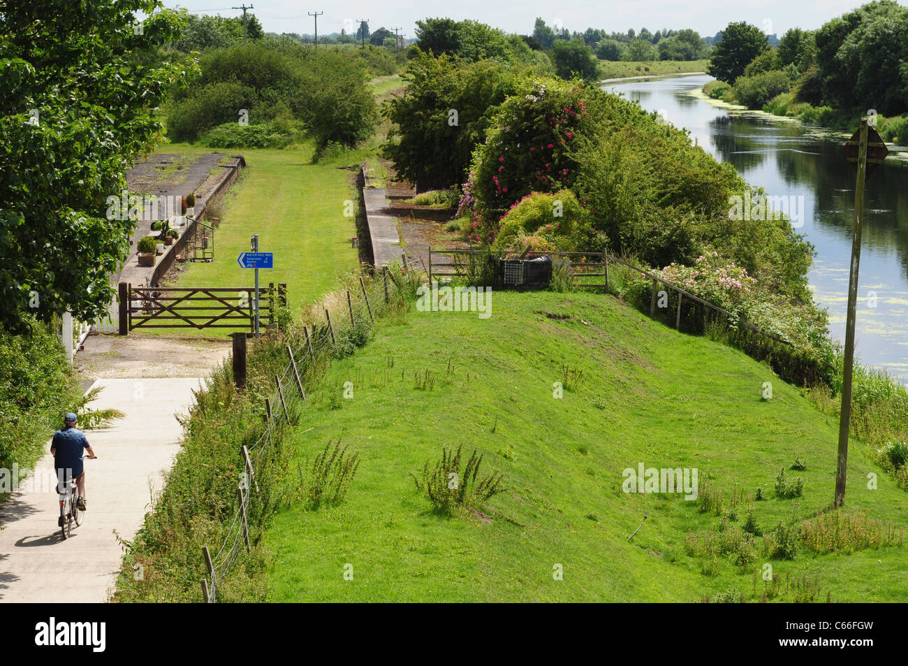 Water Rail Way and River Witham Martin Dales Lincolnshire Stock Photo