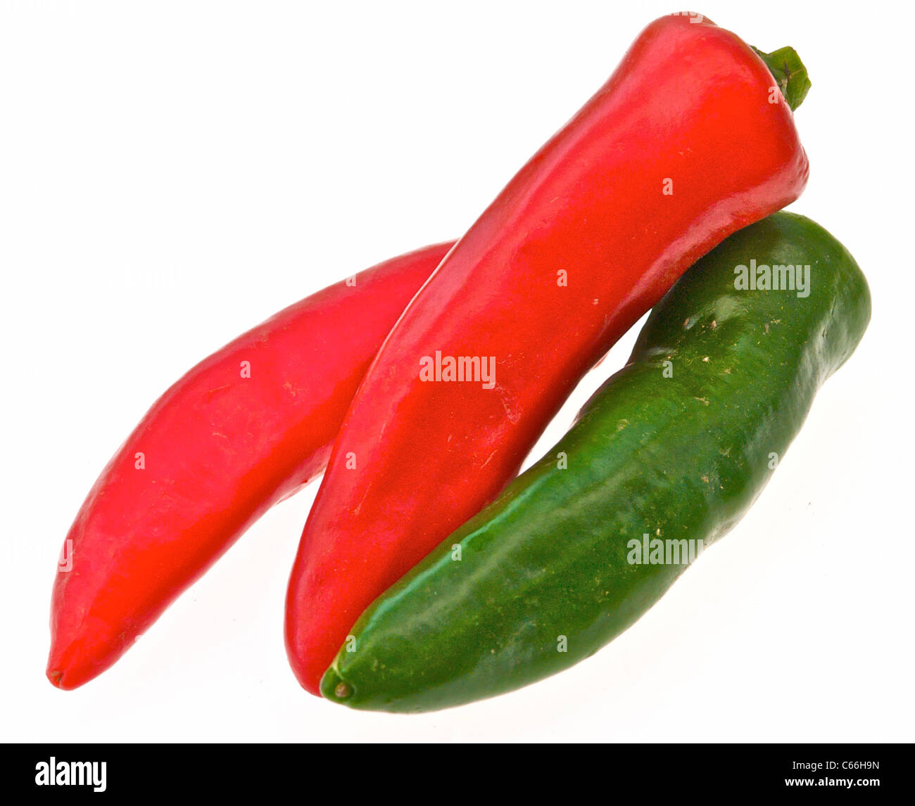 CULINARY HERBS HERB Chillies Chili Pepper (capsicum frutescens) a much used flavouring Stock Photo