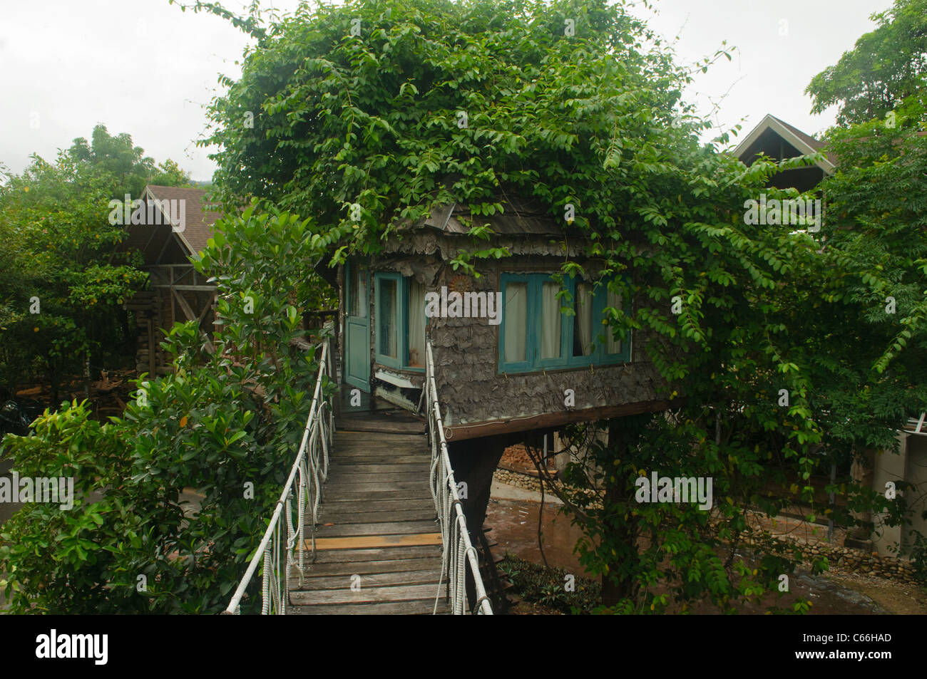 wooden tree house near Chiang Mai, Thailand Stock Photo Alamy