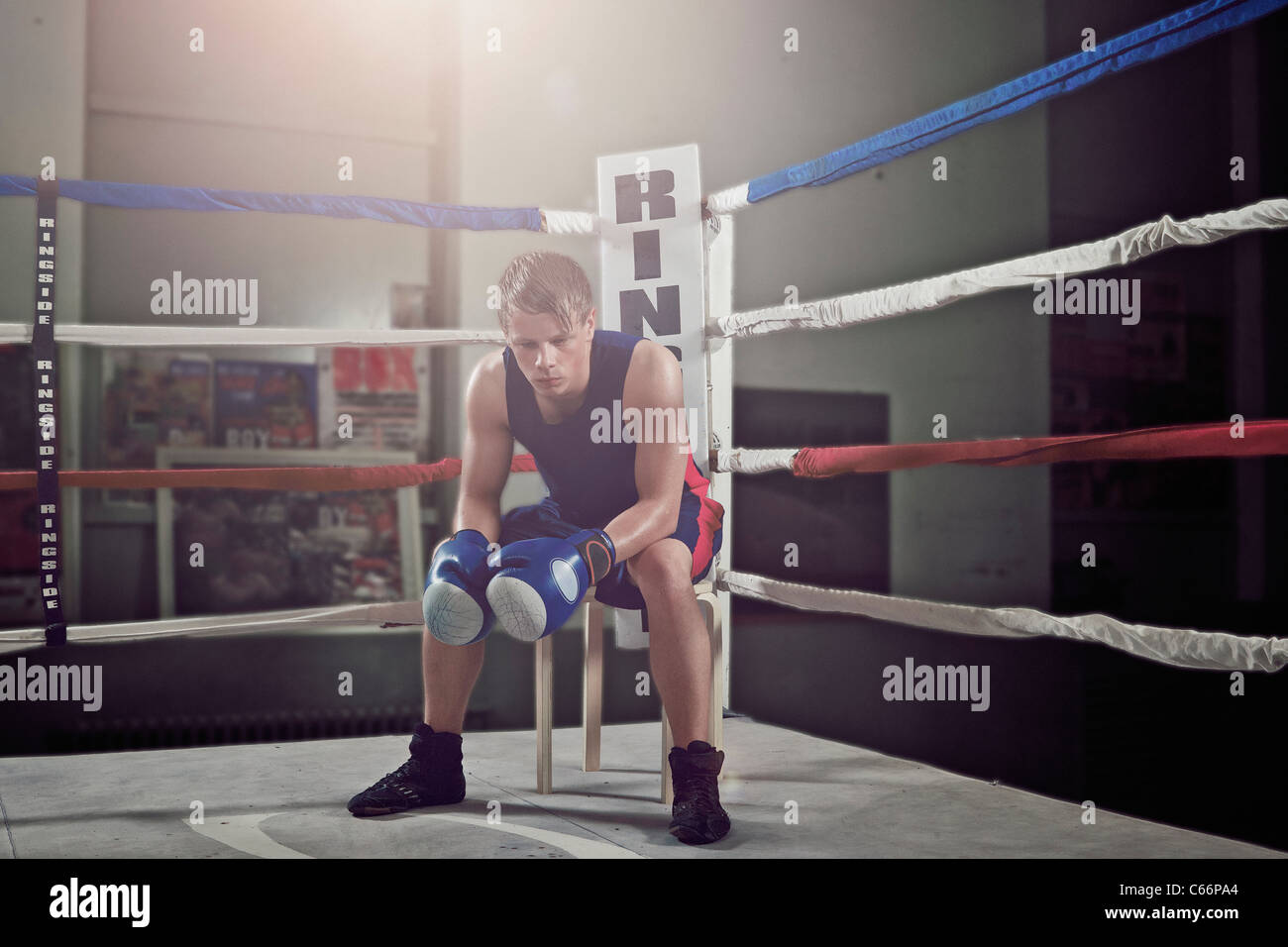 boxer property boxer property