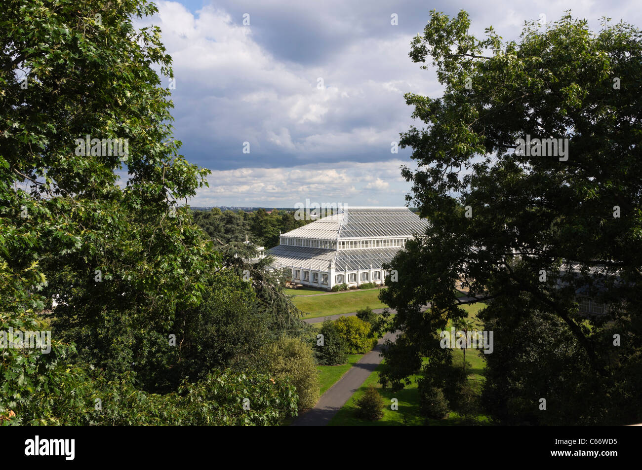 London, Kew Gardens, Royal Horticultural Society - the Temperate House, the largest Victorian iron and glass structure in Europe Stock Photo