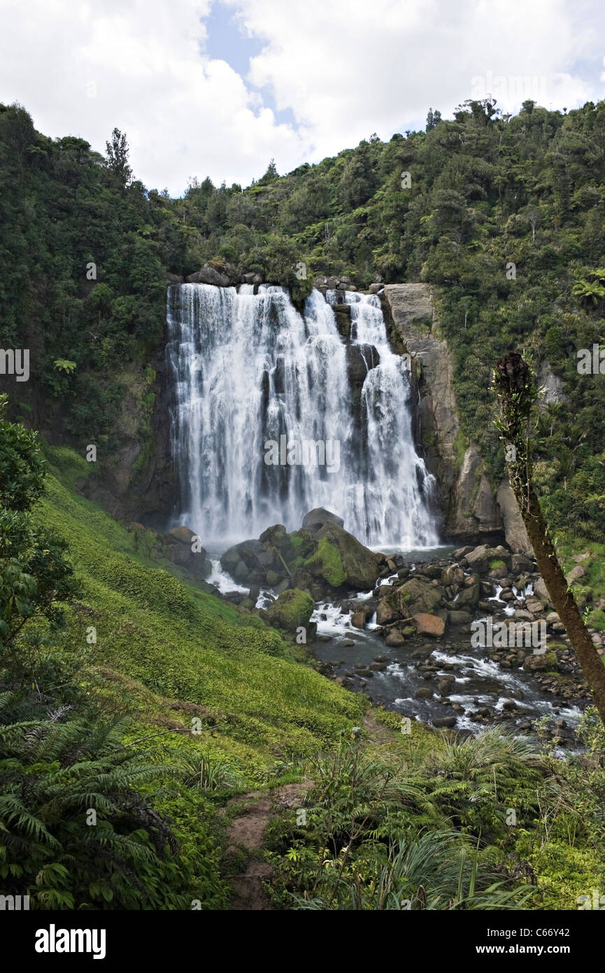 The Beautiful Marokopa Falls in the Tawarau Forest near Te Anga Waitomo ...