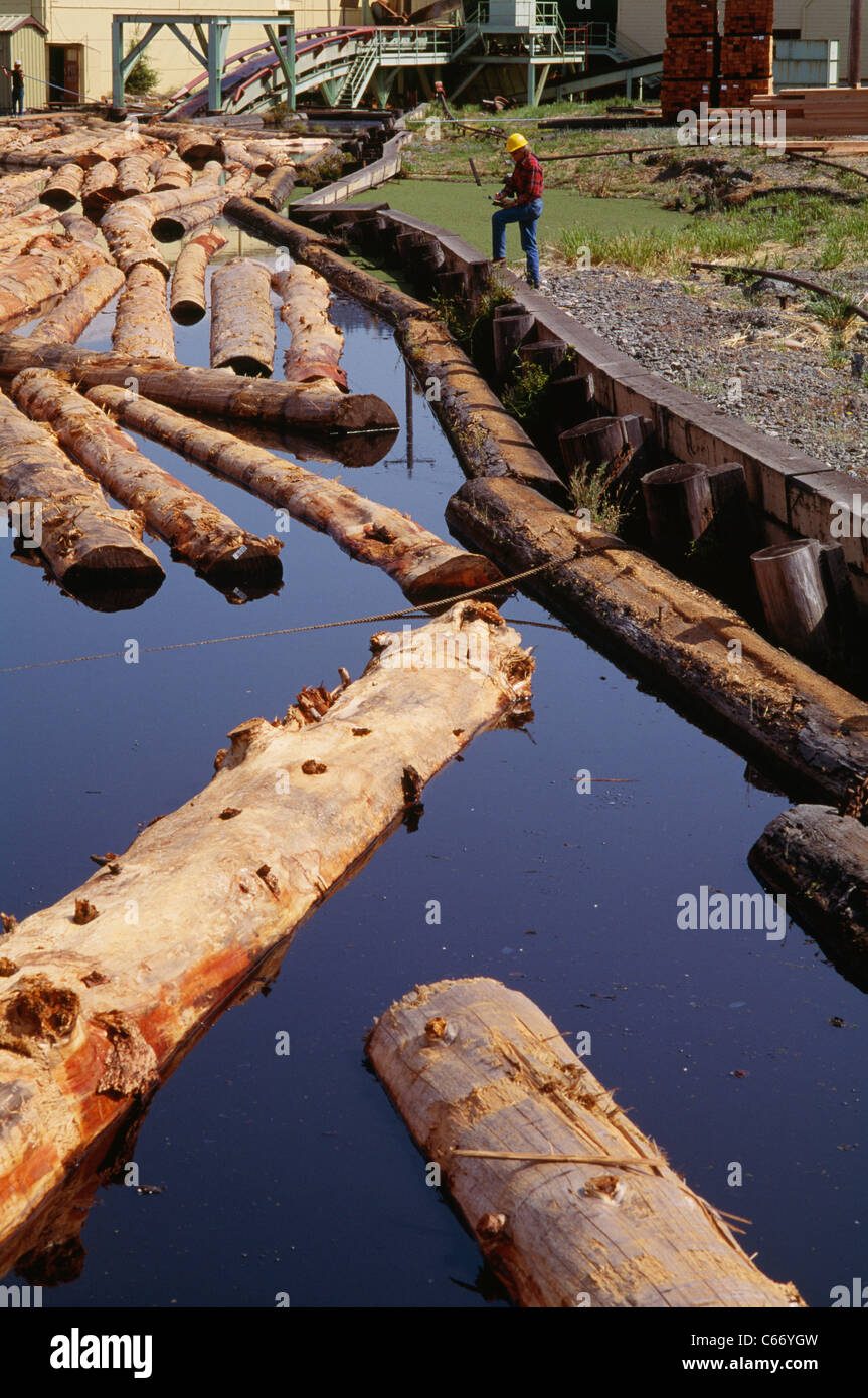 Lumber Mill with Worker in Background Stock Photo