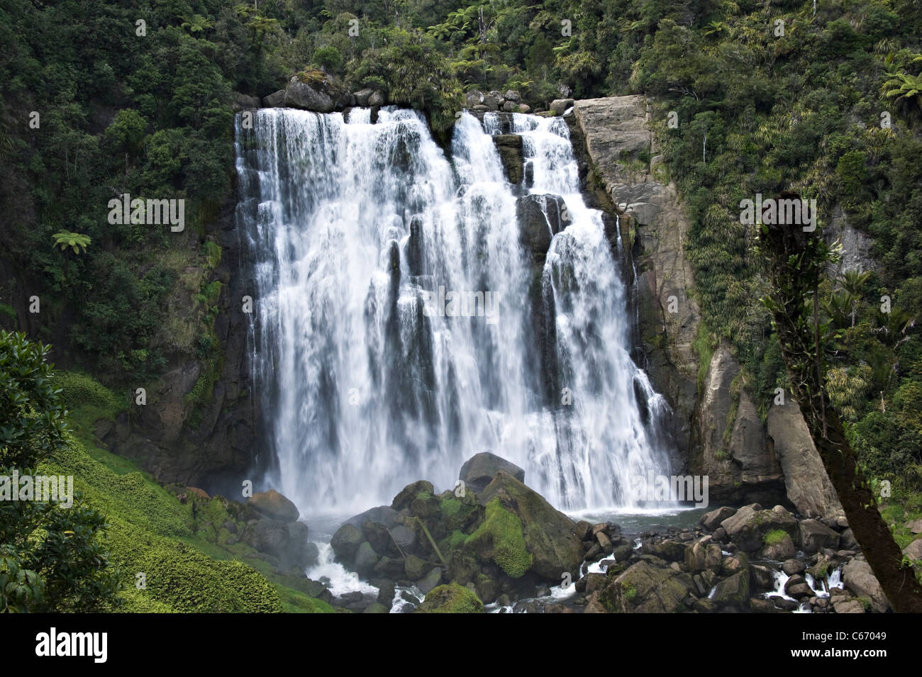 The Beautiful Marokopa Falls in the Tawarau Forest near Te Anga Waitomo Waikato North Island New Zealand NZ Stock Photo