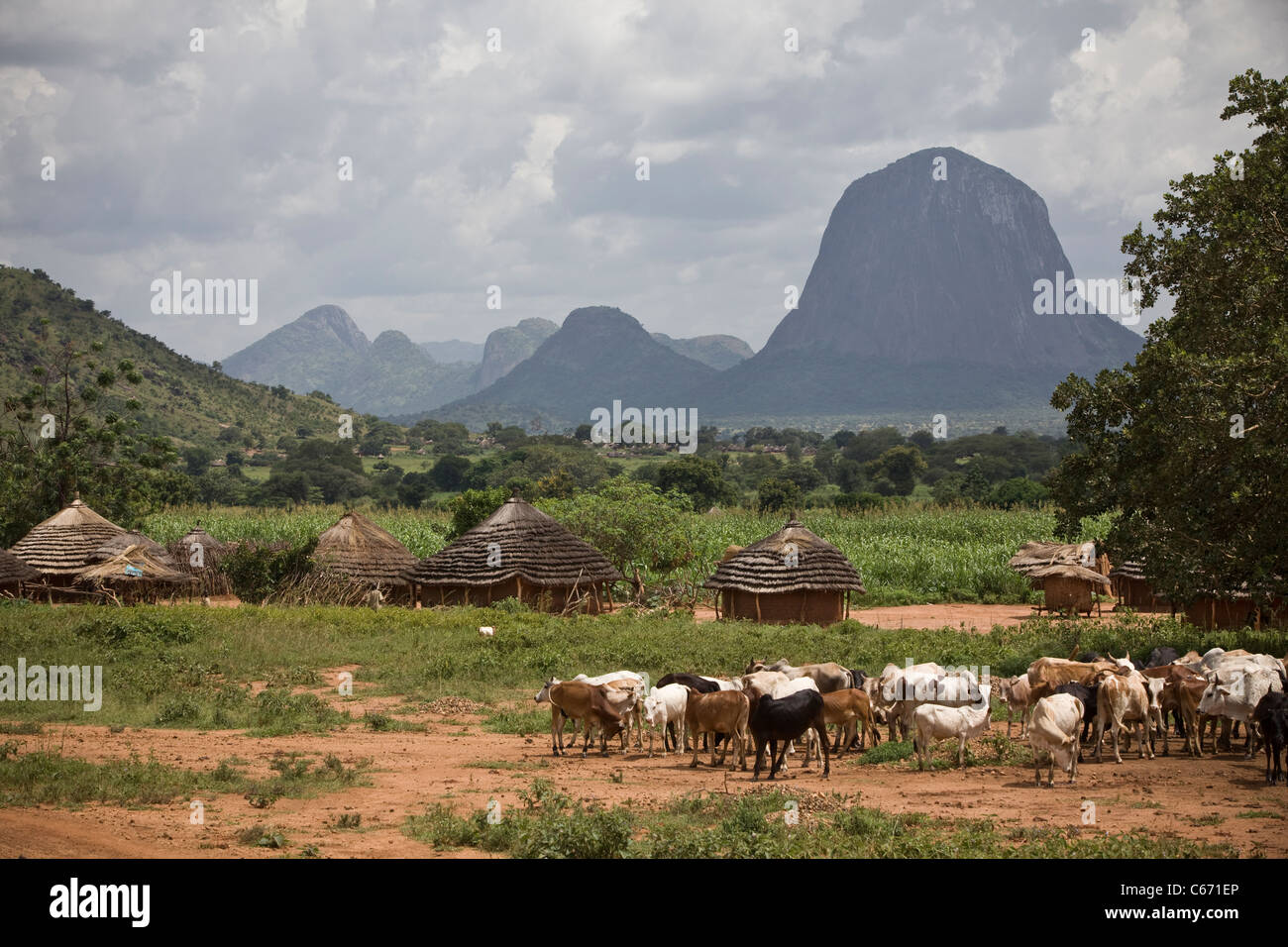 Hills rise above grass huts in Abim district, northern Uganda, East Africa. Stock Photo