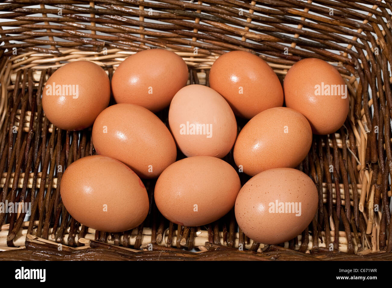 Ten hens eggs in a basket Stock Photo Alamy