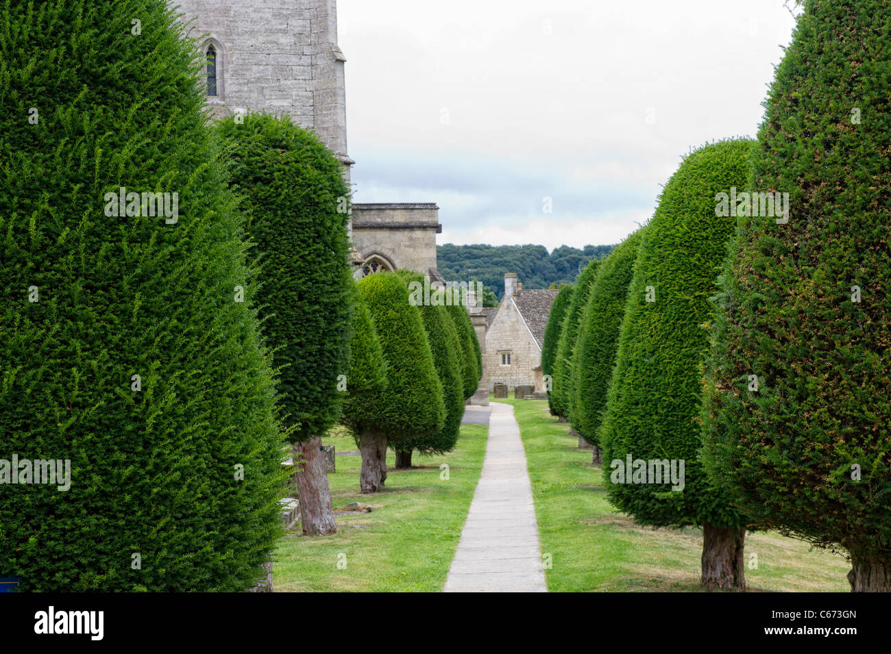 Beautifully shaped Yew trees border the pathways in the grounds of St Mary's Parish Church in Painswick, Gloucestershire Stock Photo
