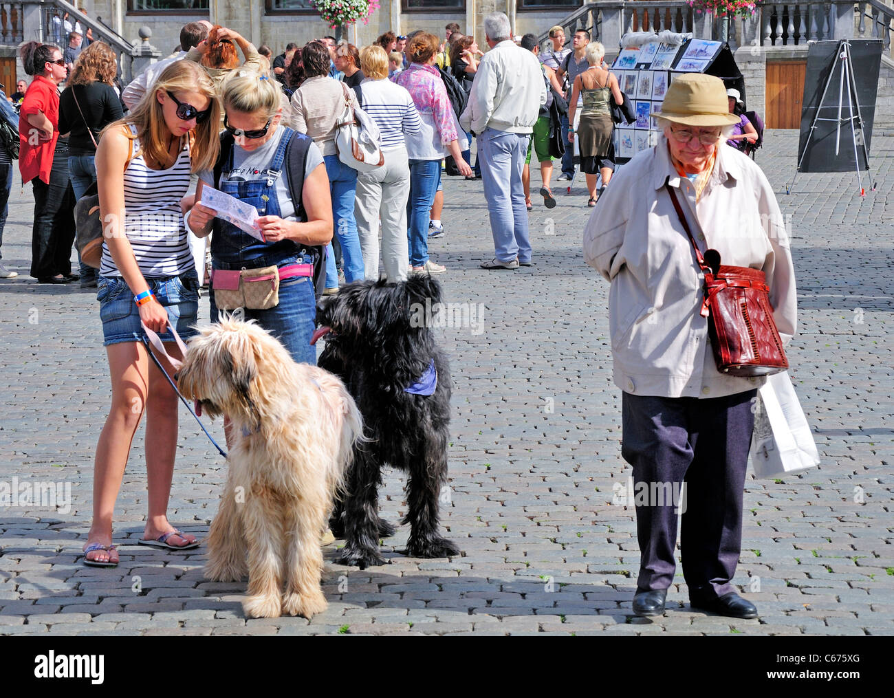 Brussels, Belgium. Grand Place. Two young women with dogs looking at a map. Older woman standing Stock Photo