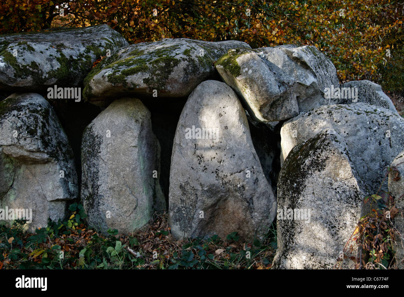 Megalithic site La table au diable (the table to the devil), Passais