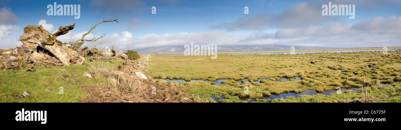Panorama of RSPB Crook of Baldoon reserve Stock Photo