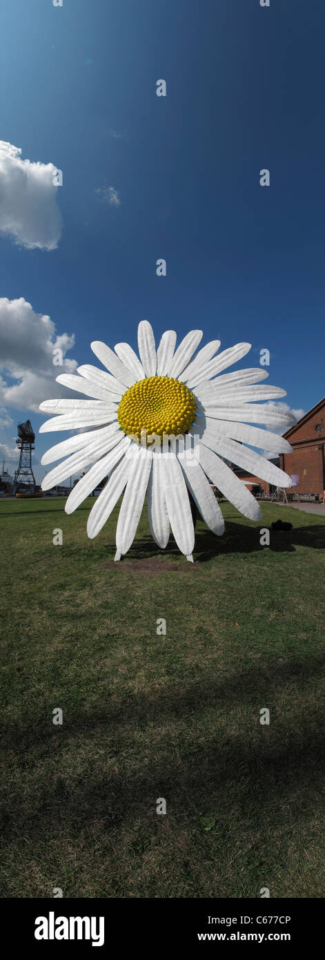 Scandinavia Finland Turku European culture city Daisy flower displace along river Auro Stock Photo
