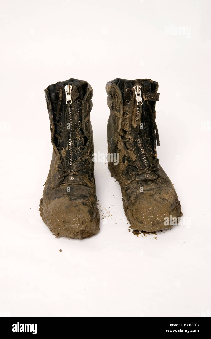 taipan work boots