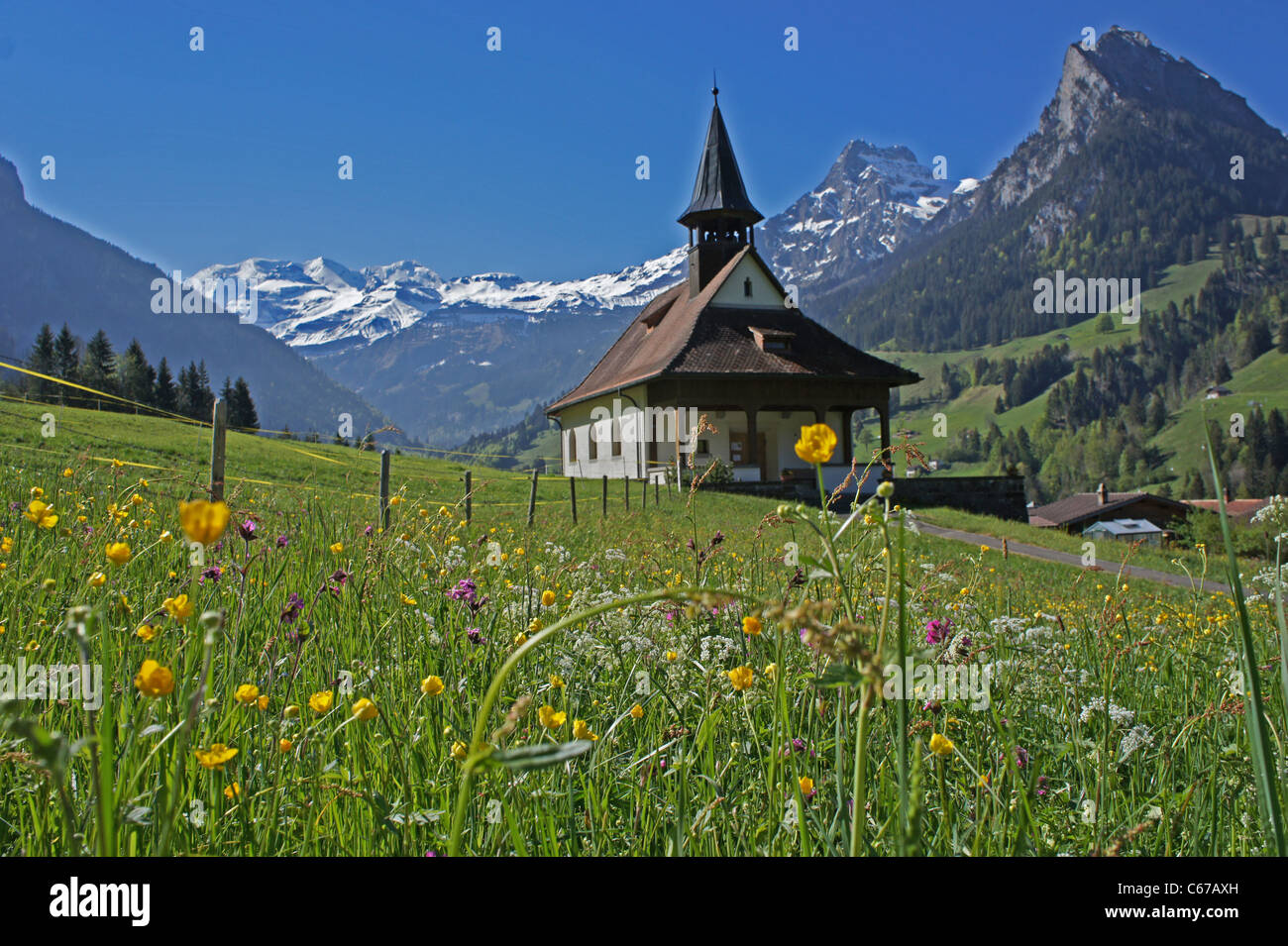 Kiental, Bernese alps with Blüemlisalp, Switzerland Stock Photo