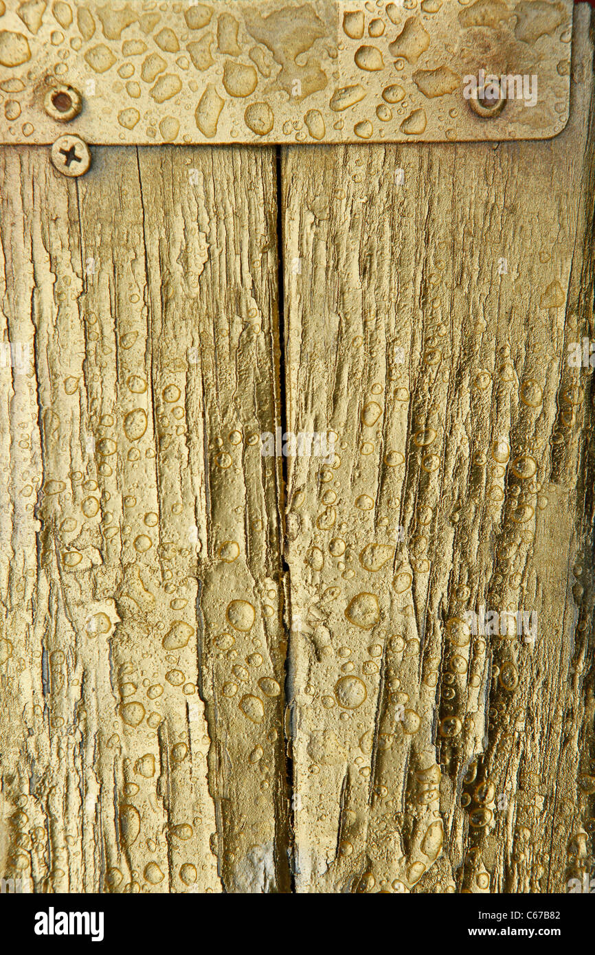 Wet old wood boards painted gold Stock Photo