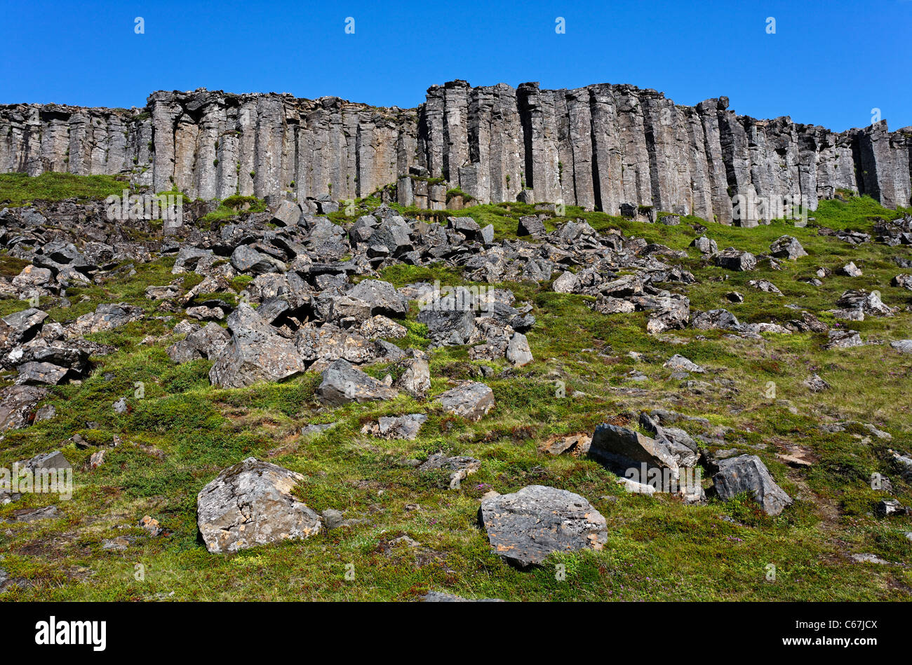 Basalt columns at Gerduberg, Snaefellsnes Peninsula, Iceland Stock Photo