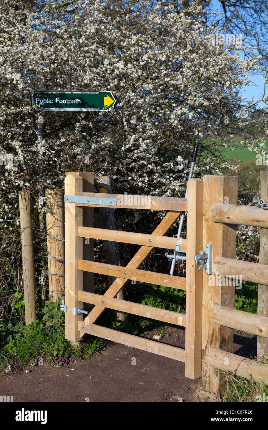 Public footpath bridleway new wooden oak gate path fence track spring fresh blossom IOW Stock Photo