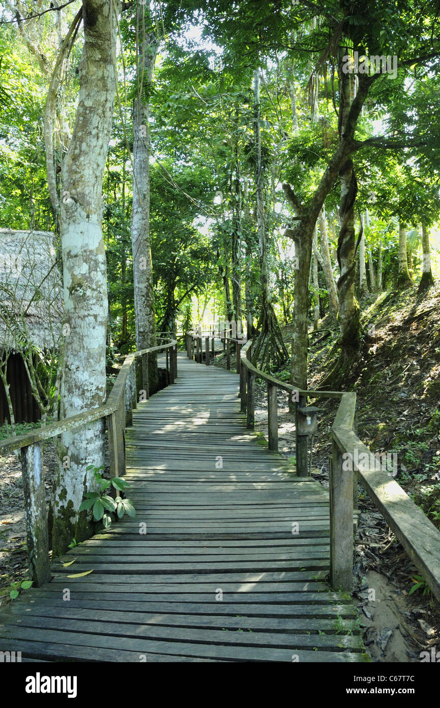 Walkway, Ceiba Tops Lodge, Iquitos, Peru. Stock Photo