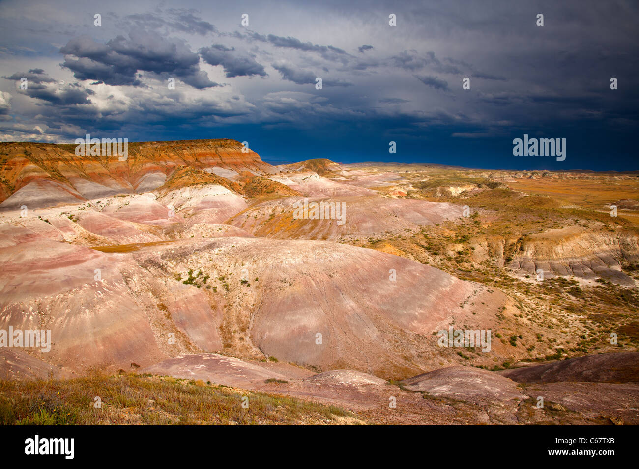 Red Gulch area, Bureau of Land Management, Bighorn Basin, Wyoming Stock Photo