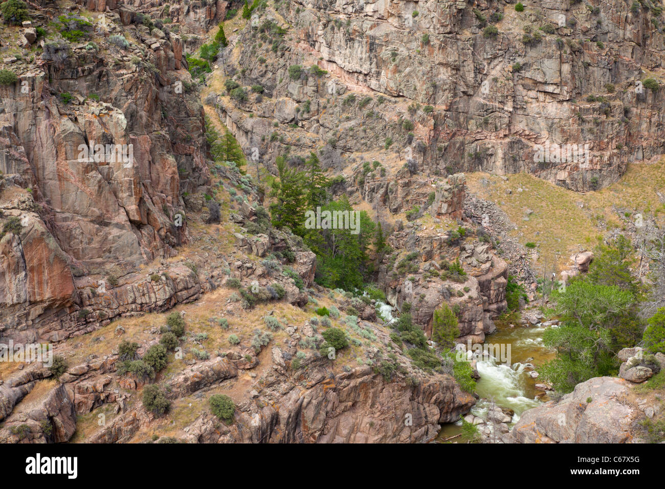 Shell Canyon and Shell Creek, Bighorn National Forest, Wyoming Stock Photo